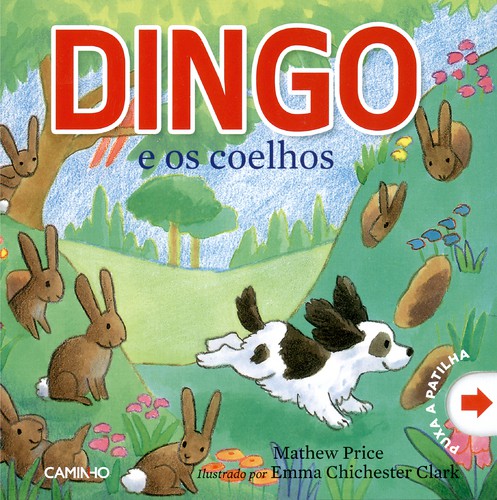 Dingo e os Coelhos - PRICE, MATHEW