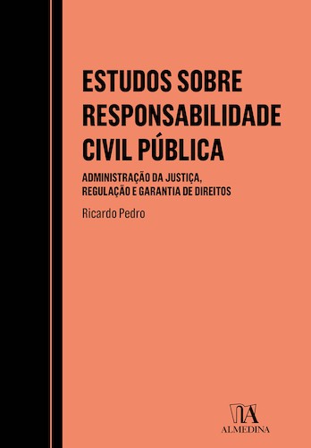 Estudos sobre Responsabilidade Civil Pública - eBook
