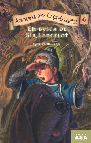 Em Busca De Sir Lancelot - Vários autores