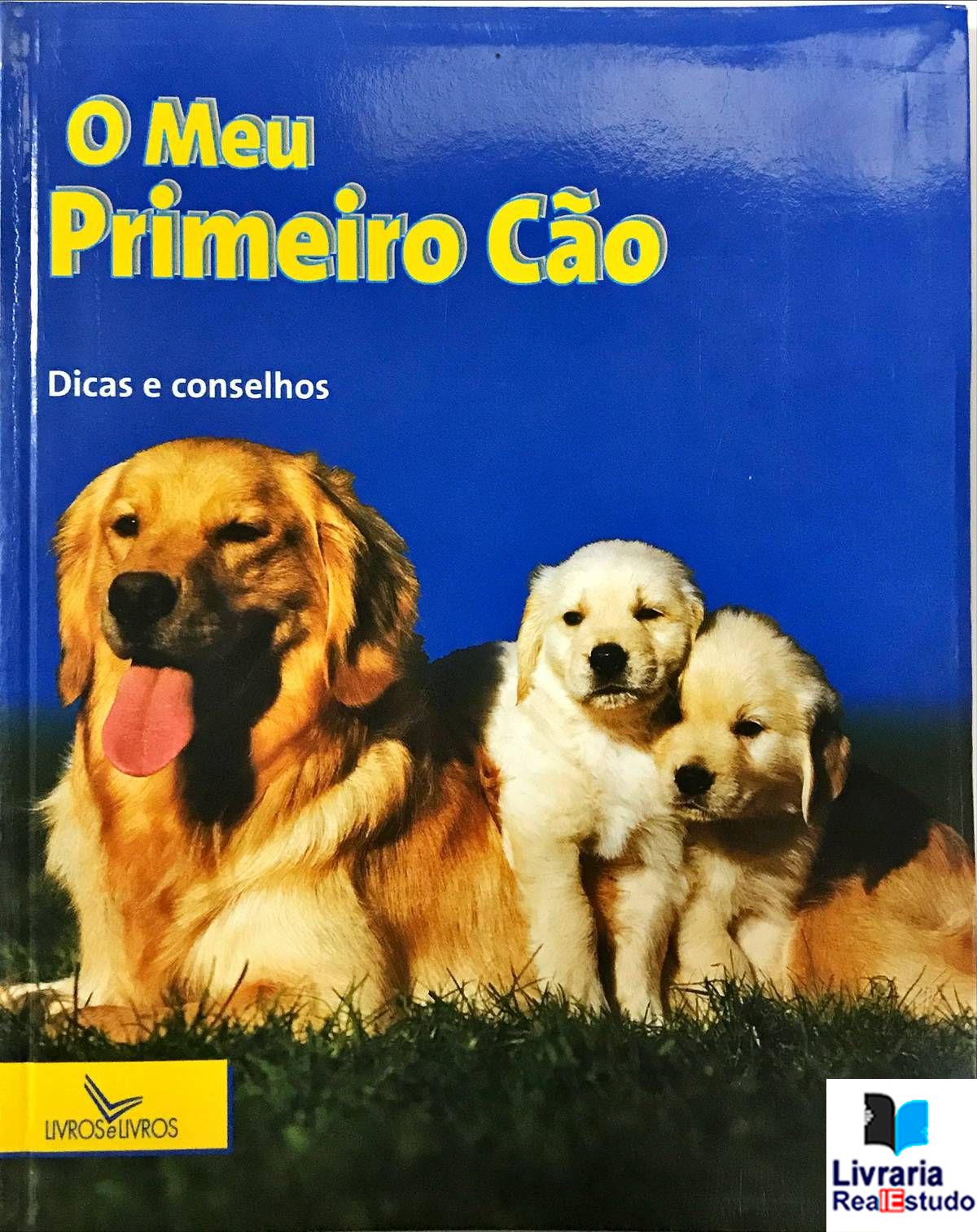 O Meu Primeiro Cão, Dicas e Conselhos