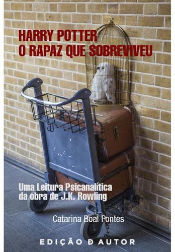 Harry Potter, O Rapaz que Sobreviveu - eBook - PONTES, CATARINA BOAL
