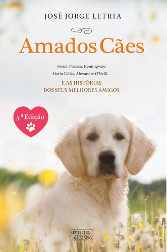 Amados Cães - LETRIA, JOSÉ JORGE