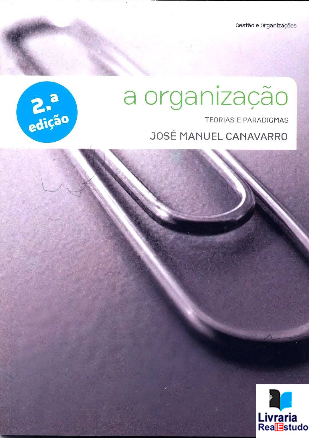 A Organização,Teorias e Paradigmas