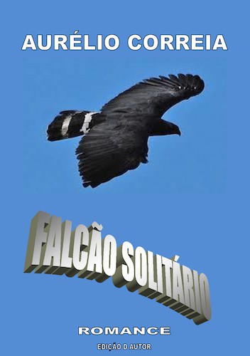 FALCÃO SOLITÁRIO - eBook - CORREIA, AURÉLIO